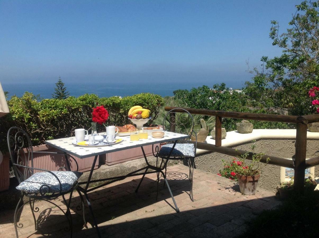 לינה וארוחת בוקר Forio di Ischia La Terrazzina Sul Tramonto מראה חיצוני תמונה