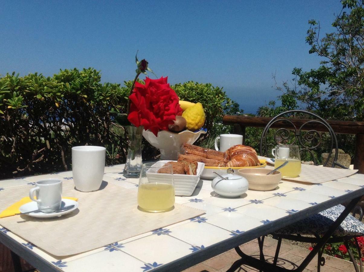לינה וארוחת בוקר Forio di Ischia La Terrazzina Sul Tramonto מראה חיצוני תמונה